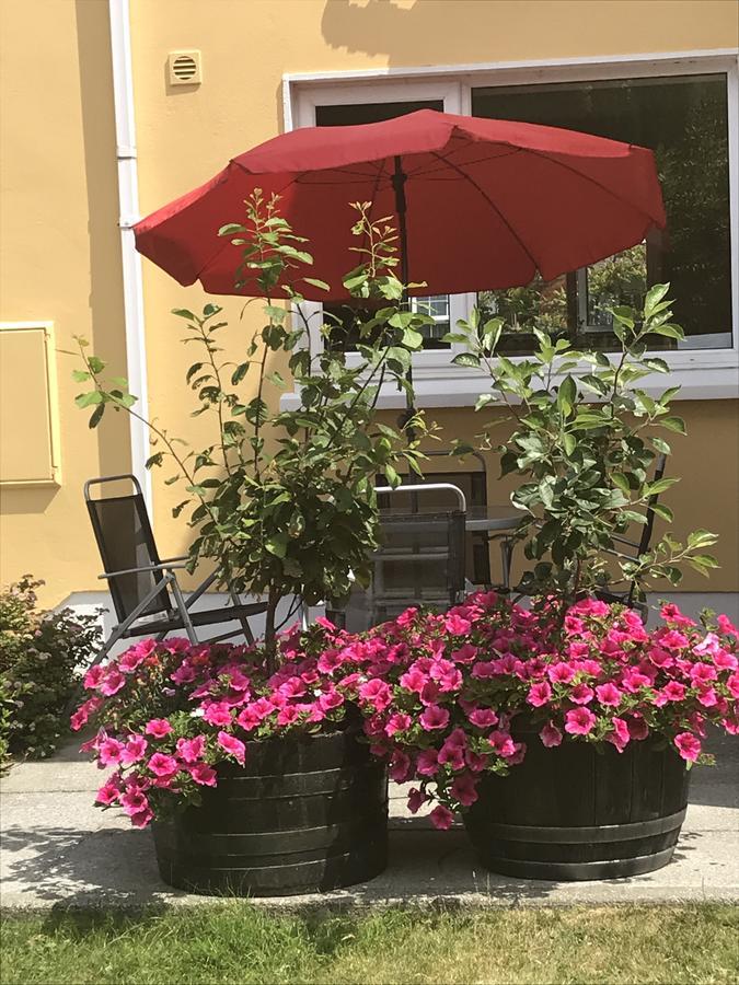 Liosderrig House B&B Гленби Экстерьер фото